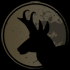 Pronghorn